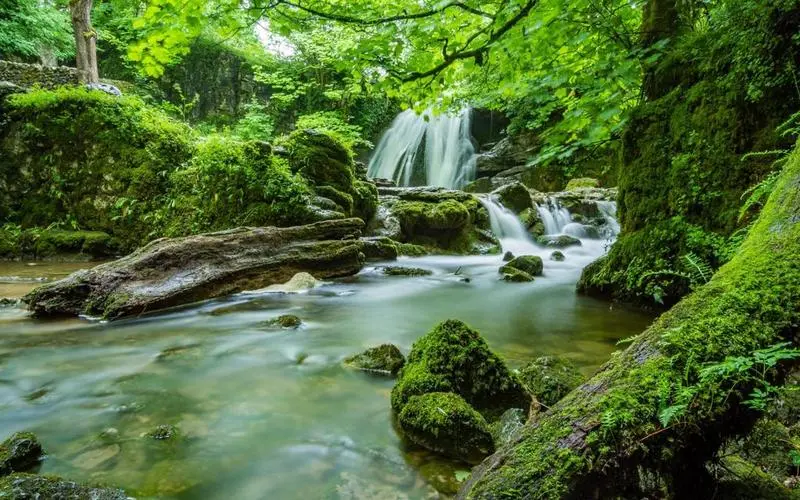 节能智慧城市全自动